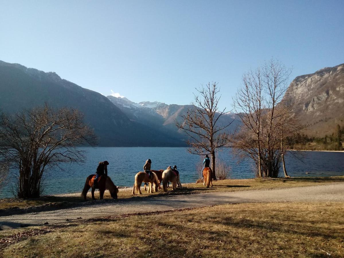 Apartment Sporar Bohinj Dış mekan fotoğraf